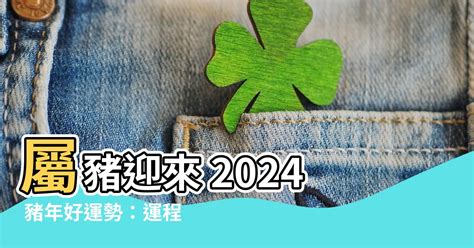 屬豬五行顏色|2024豬年開運色速查